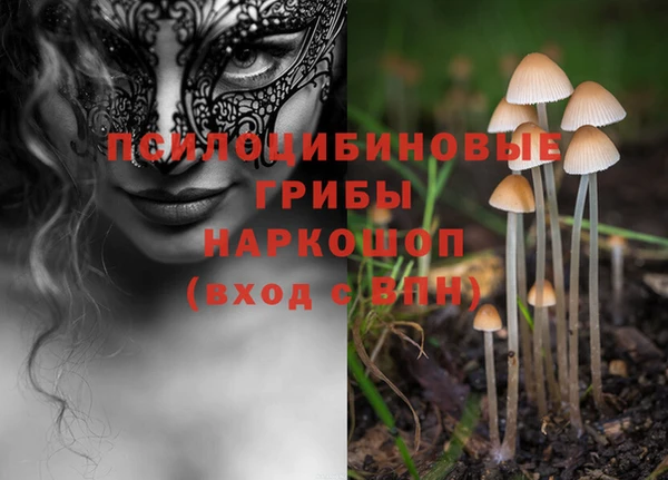 MESCALINE Алзамай