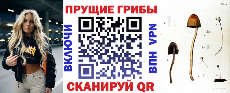 Псилоцибиновые грибы прущие грибы Куровское