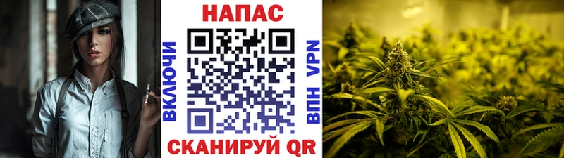 Бошки Шишки Bruce Banner цена наркотик Куровское